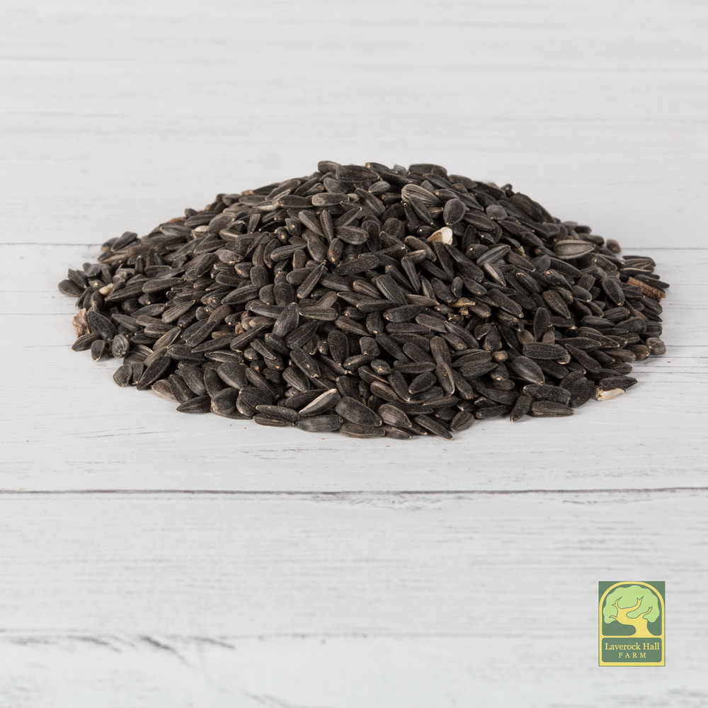Laverock Bird food - Black sunflowers-1